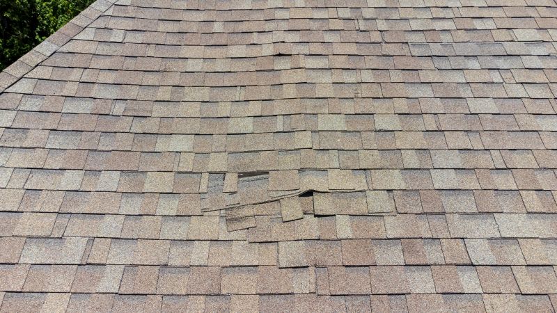 Asphalt Roof Inspection in Monroe, CT