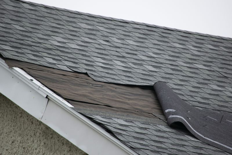 Asphalt Shingles Repair in Rye, NY