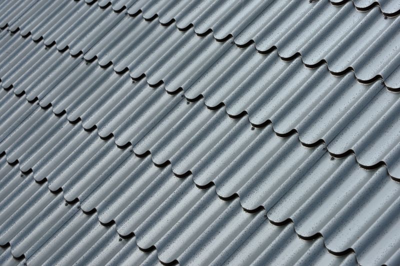 Corrugated Roof Repair in Montrose, NY